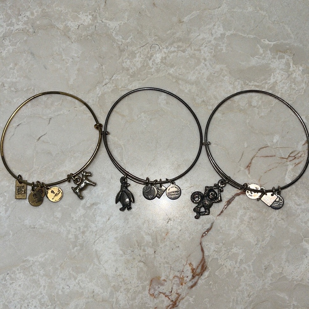 Set of 3 Alex & Ani Bangle Bracelet Dog Penguin